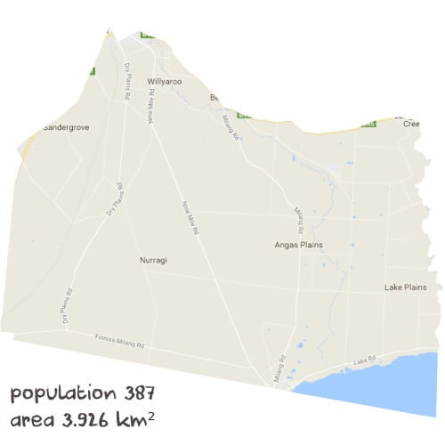 Ancient History Tutoring Near Me